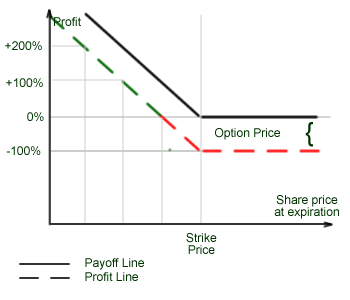 Buying Put Options